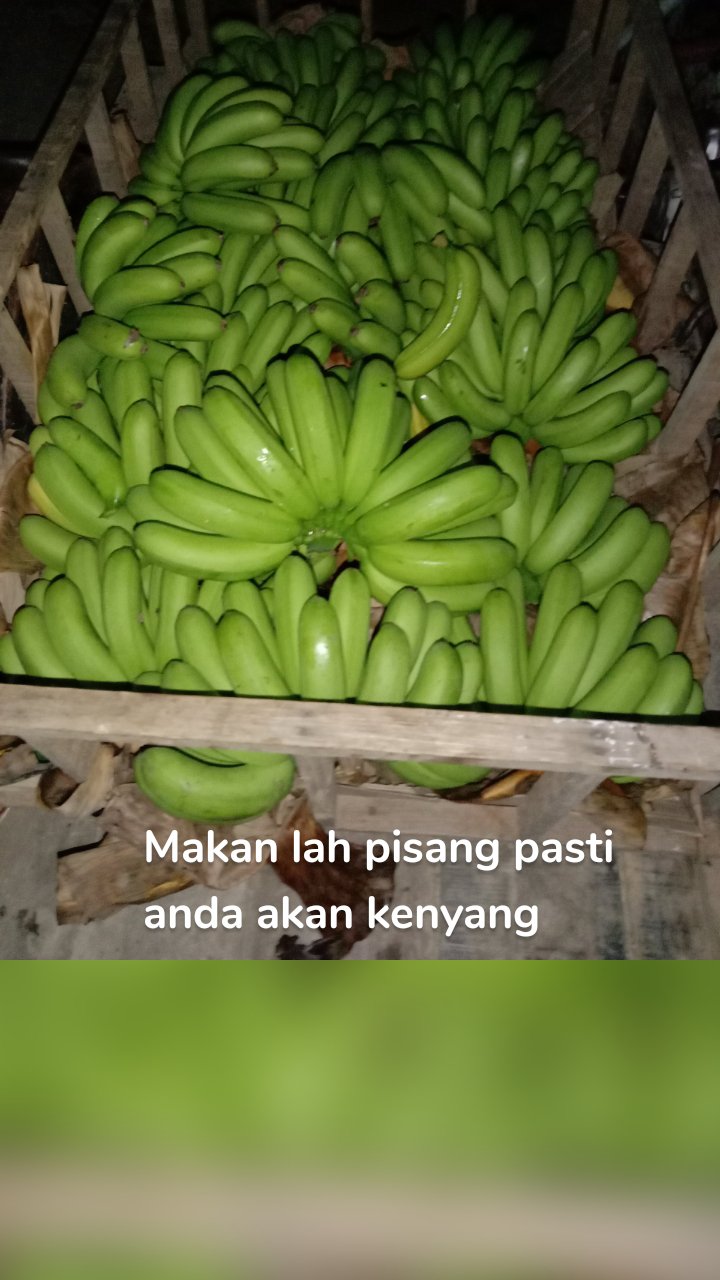 Makan lah pisang pasti anda akan kenyang